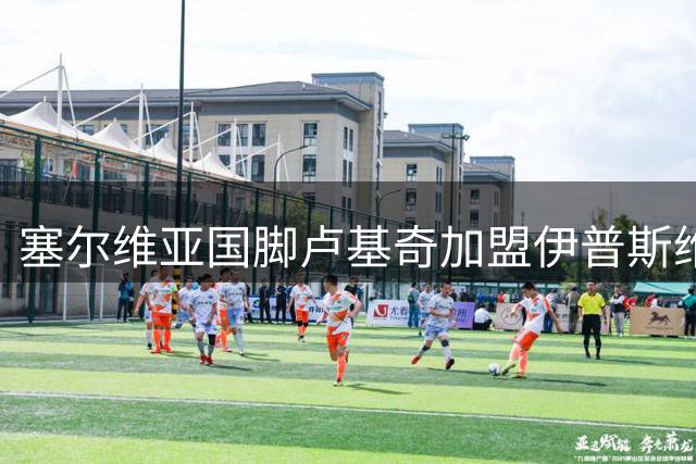 塞尔维亚国脚卢基奇加盟伊普斯维奇 富勒姆中场再遭挖角