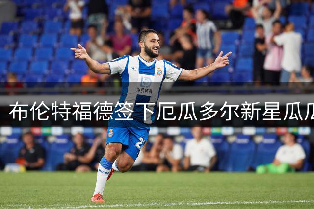 布伦特福德签下厄瓜多尔新星瓜瓜 将外租西协甲锻炼