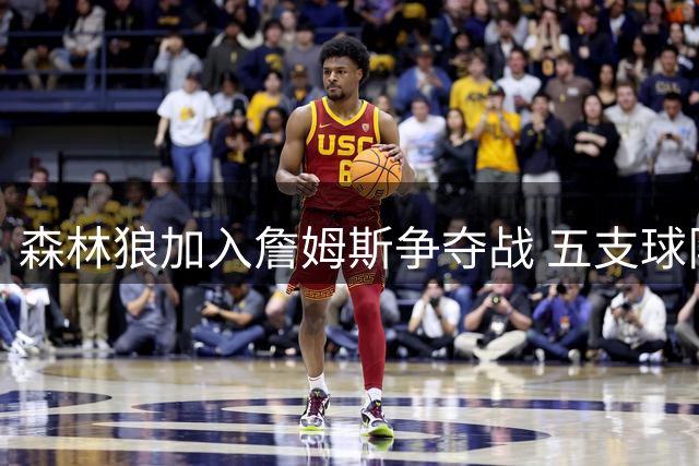 森林狼加入詹姆斯争夺战 五支球队静待皇帝抉择
