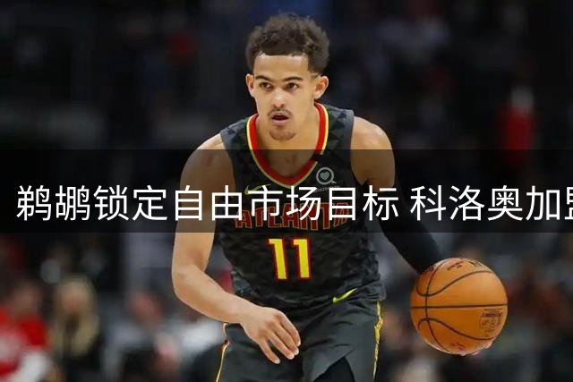 鹈鹕锁定自由市场目标 科洛奥加盟填补锋线空缺
