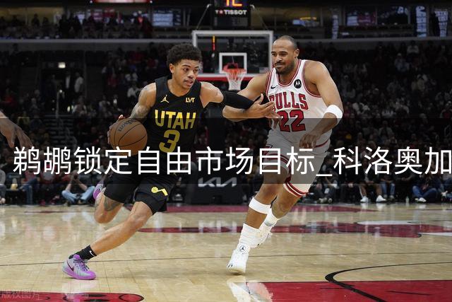 鹈鹕锁定自由市场目标 科洛奥加盟填补锋线空缺